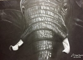 L elephant