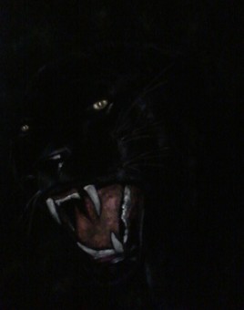 tiger noir