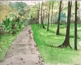 foret de bois blanc ile de la reunion