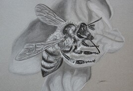 To bee or not to bee