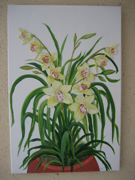 Cimbidium