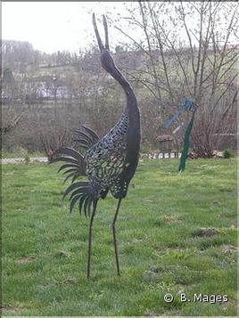 grue appelant le soleil