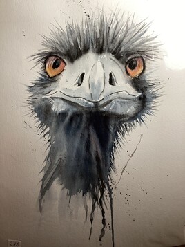 Autruche&hellip;VENDUE.