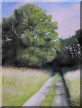 En revenant des "beurds" 