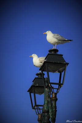 regard vers l'océan