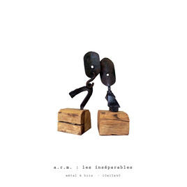 Les Ins&eacute;parables (s&eacute;rie a.r.m)