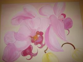 jolies orchidées