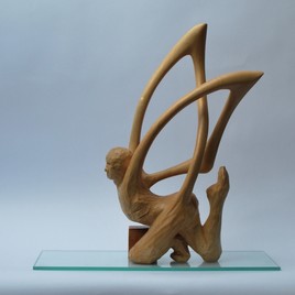 L'homme qui r&ecirc;vait de voler