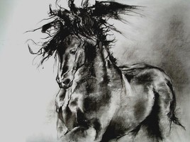Cheval_2
