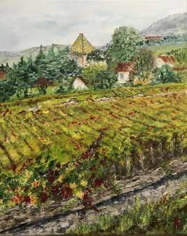 Vignes de Santenay en Bourgogne