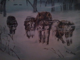 Wolf in the snow storm