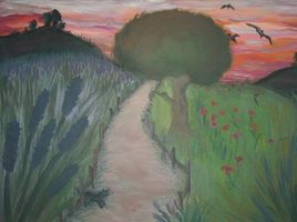 Fin de journée pres de lavandes