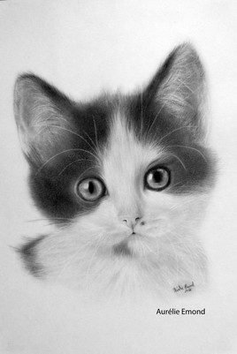 Portraits d'apr&egrave;s photo