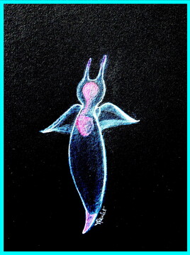 Ange de mer (Clione l’imagina)  / Painting A naked sea butterfly