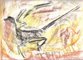 Archeopteryx