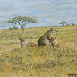Lionnes du Serengeti