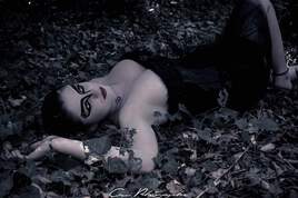 La paix, qu'est-ce que c'est ?