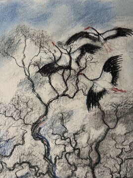 Le retour des cigognes, oiseaux mythiques mytiques ,et porte-bonheur