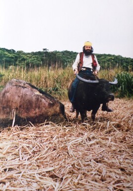 La canne à sucre c'est cool .