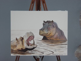 hipopotame
