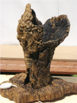 bougeoir en li&eacute;ges