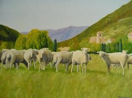 Moutons de Chauvac