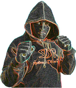 SDR (Syst&egrave;me de D&eacute;fense Rapide)