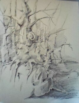 for&ecirc;t imaginaire