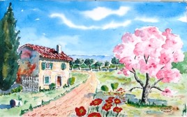 L'amandier rose en Provence