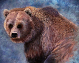 Un ours dans la brume