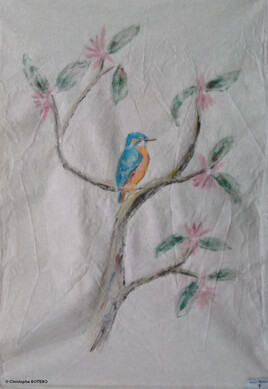 Le digne Martin p&ecirc;cheur d'Europe