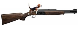 Le "chien" d'un fusil