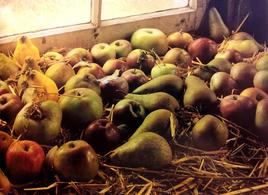Des pommes, des poires...