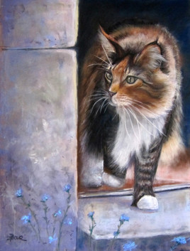 De sortie vers le jardin...