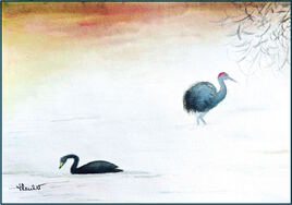 Oiseaux du Marais de Kushiro / Painting Birds at the Kushiro Marsh