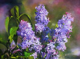 les lilas