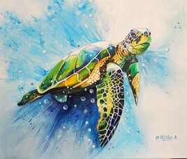 Inspiration "tortue cal&eacute;donienne"