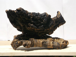 EL-KANOUN (brassier)