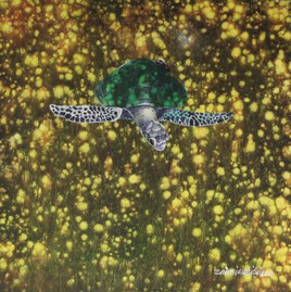 Green Turtle Series 146