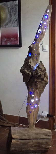 Anatole Bois flott&eacute;