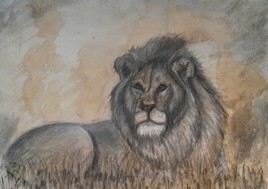 lion au fusain