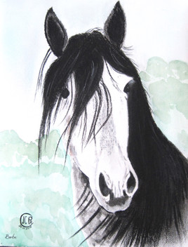 CHEVAL.01.30.2012