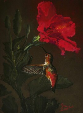 Rencontre du colibri et d'un hibiscus