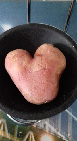 Ma petite patate d'amour