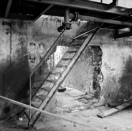 friche de la fleuriais 3