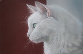 Mac, Le Chat Blanc de profil