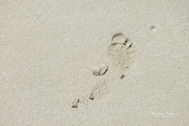 Un pied dans le sable