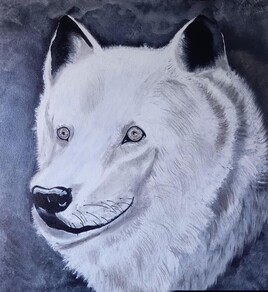 Loup Blanc