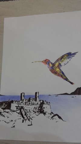 Château colibri