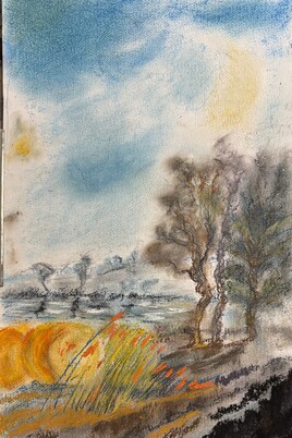 Bas champs dans le Marquenterre